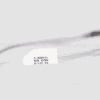 XOX EYEWEAR / Estilo Shield Moderno - S-XOX001