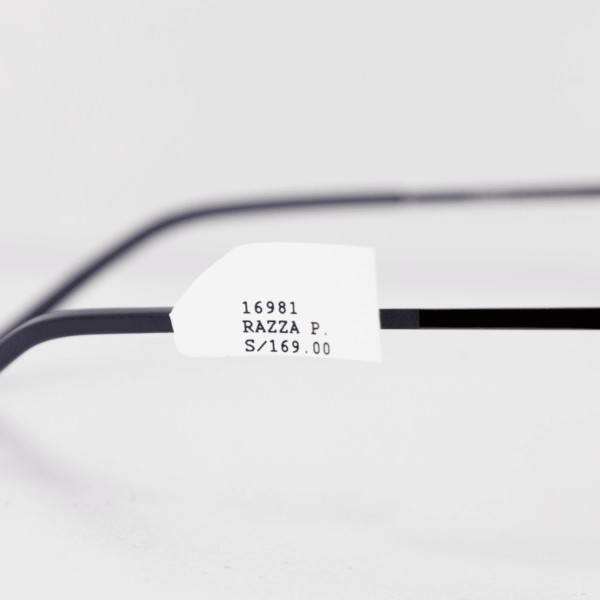 RAZZA P. (Polarized) / Estilo Aviador - 16981